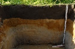 Foto: Bodenprofil eines Grundwasserbodens