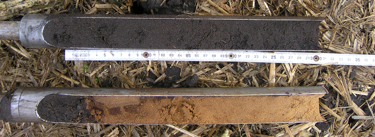 2 Stechzylinder gefüllt mit Bodenprobe: sichtbarer Unterschied im Humusgehalt zwischen oberer und unterer Tiefenstufe