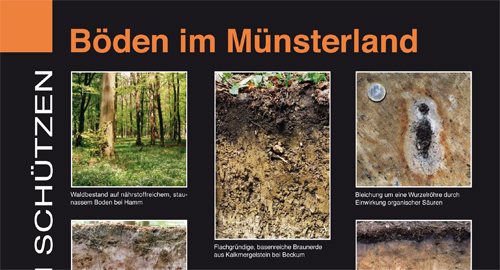Posterausschnitt Böden im Münsterland