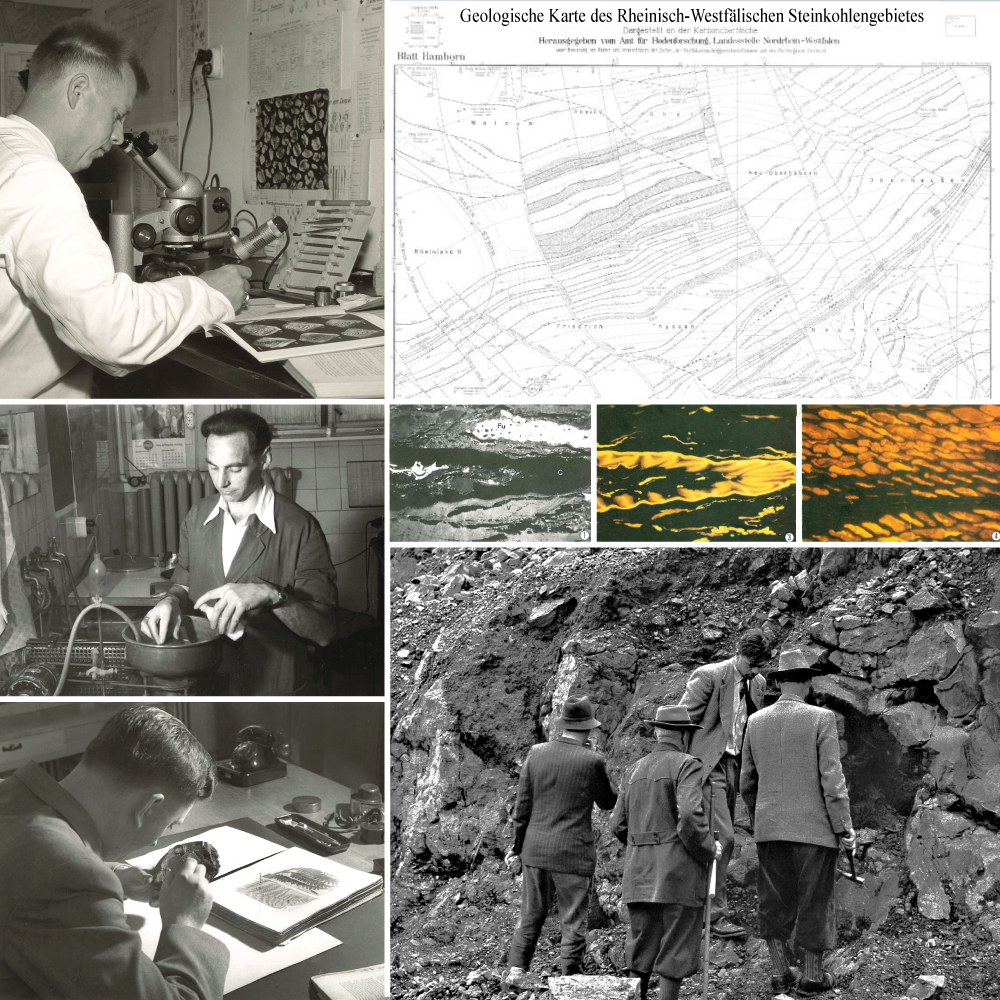 Grafik aus mehreren Abbildungen: Arbeit im Gelände, am Mikroskop, im Labor, mit der Lupe, Vitrinit, Ausschnitt Geologische Karte des Rheinisch-Westfälischen Steinkohlengebietes