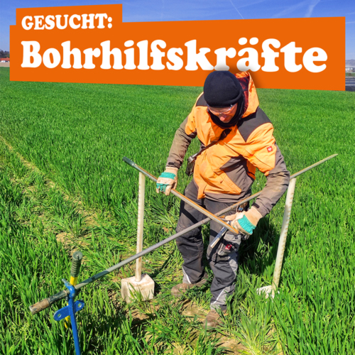 Job für Bohrhilfskräfte (w/m/d)