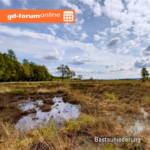 gd-forum online: Mannigfaltig und unwiederbringlich – Moore in NRW