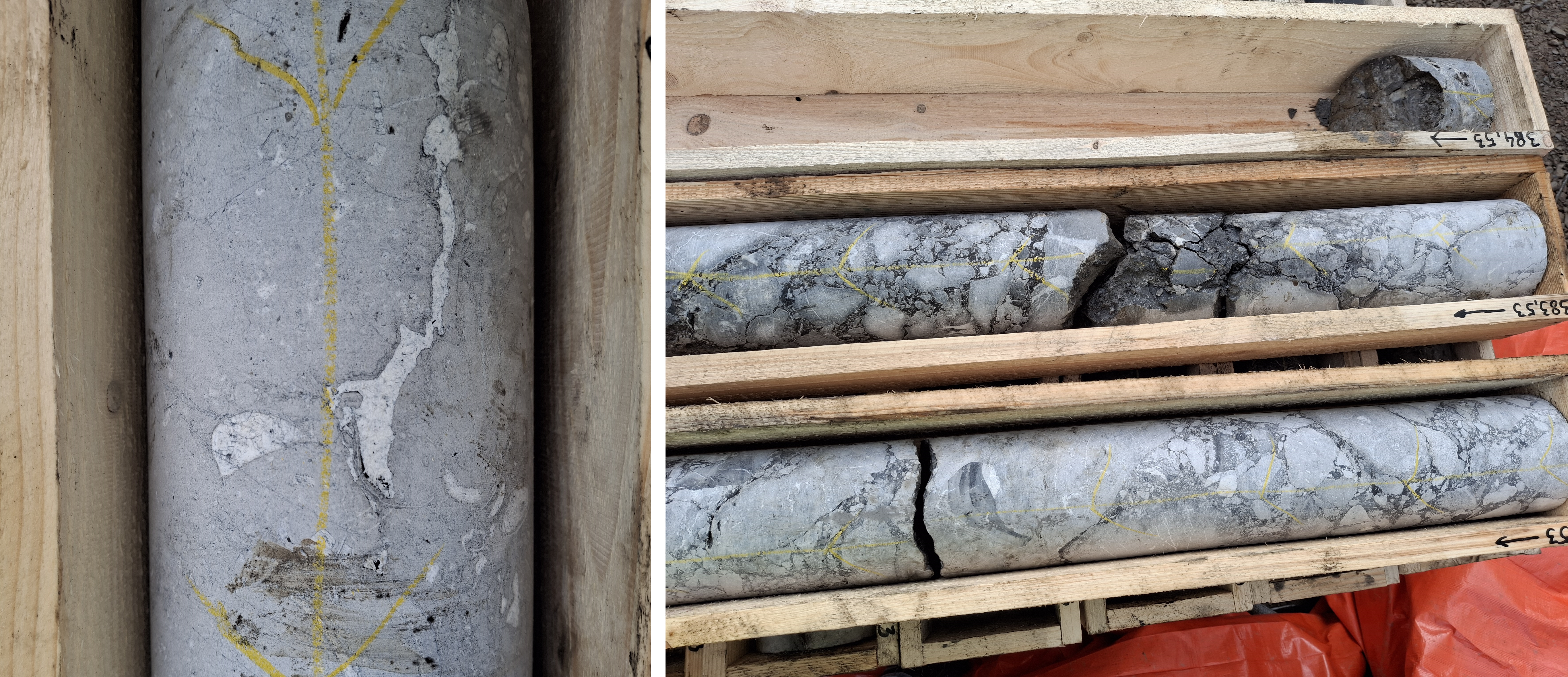 Links: Nahaufnahme des Kohlenkalks mit Fossilien wie Brachiopoden und Crinoiden, rechts: Bohrkerne aus einer Tiefe von 382,53 – 384,53 Metern mit gerundeten Komponenten in einer dunklen Matrix