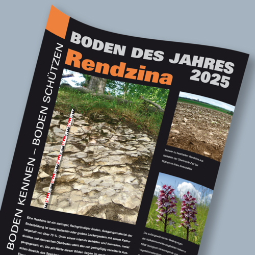 Rendzina: Boden des Jahres 2025