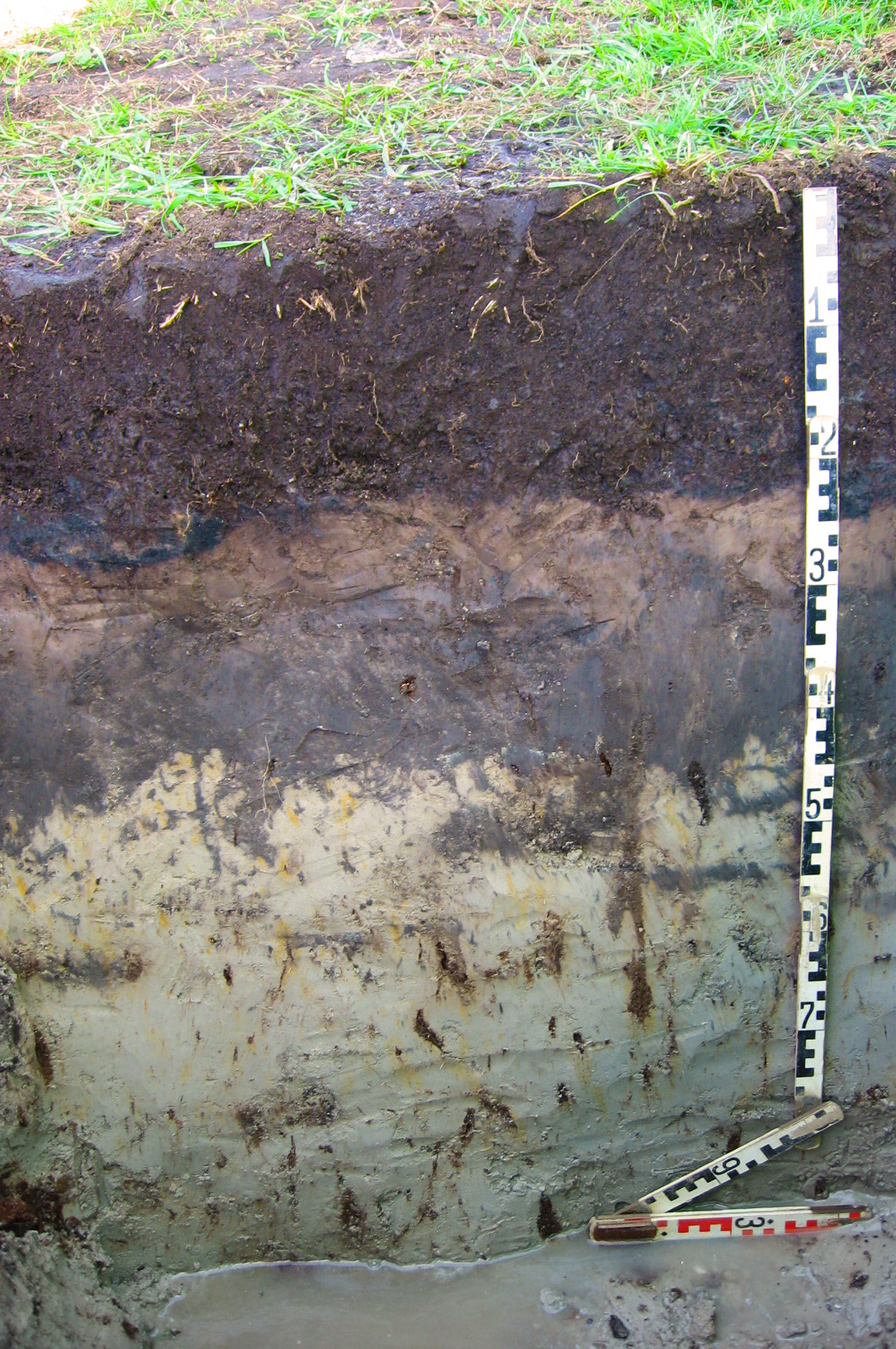 Bodenprofil: Anmoorgley aus schluffig-sandigen Bachablagerungen