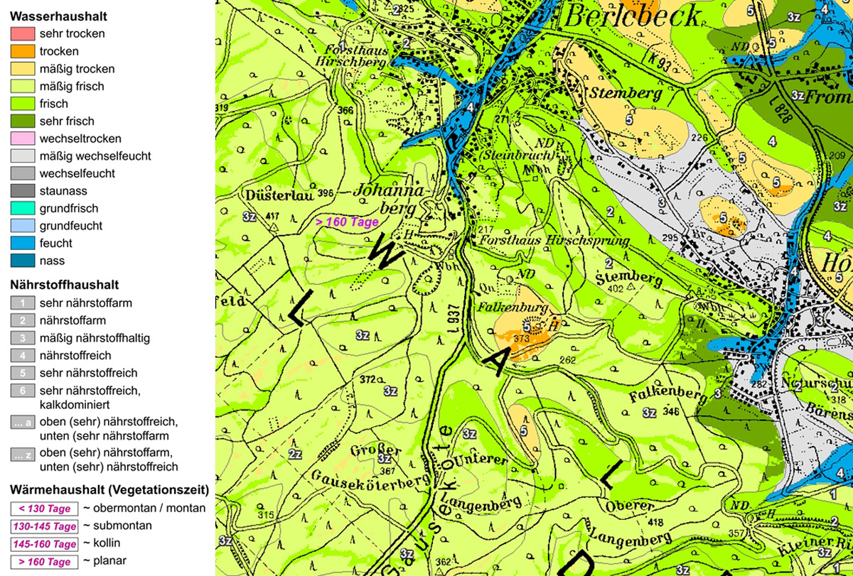 Kartenauschnitt: Forstliche Standortkarte aus dem Gebiet Berlebeck bei Detmold