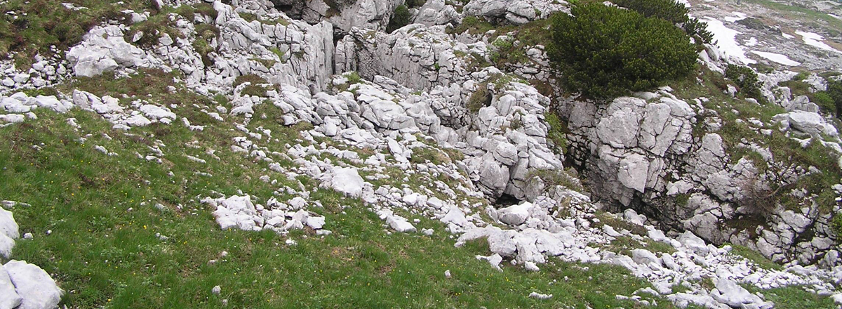 Foto: Boden des Jahres 2018, Alpiner Felshumusboden