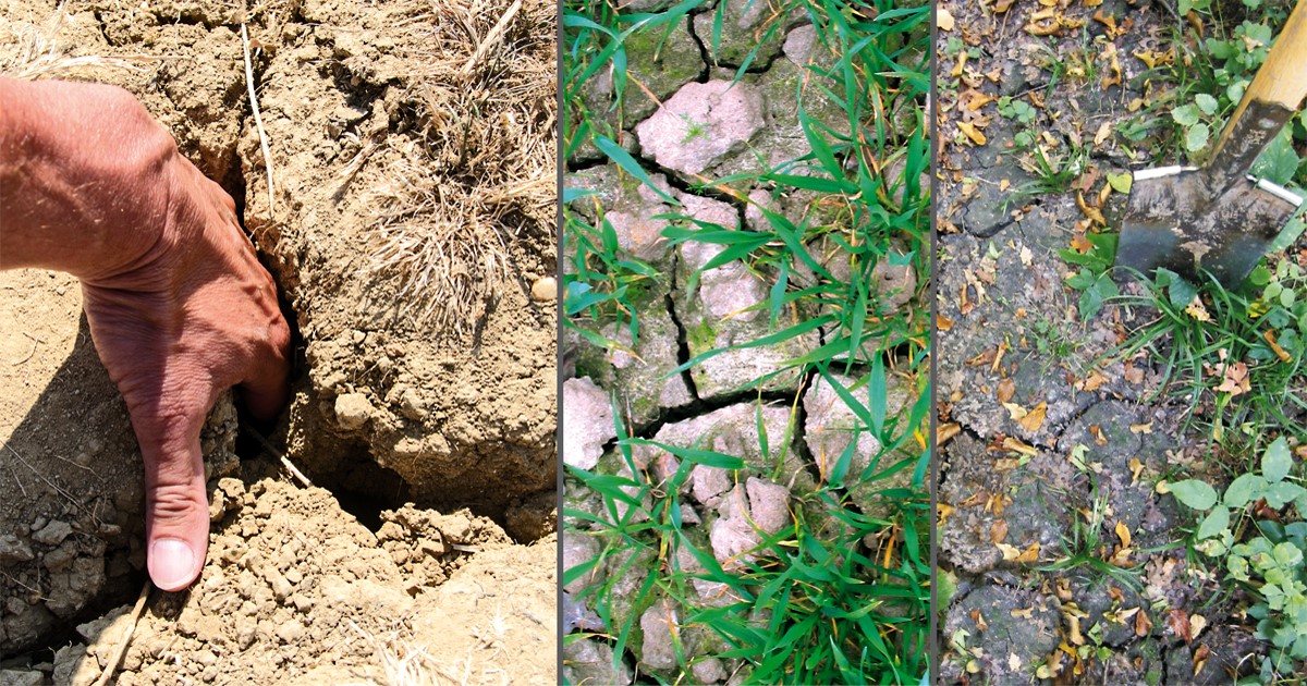 Bodenrisse und Spalten toniger Böden in Trockenphasen