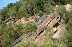Foto einer Steinbruchwand: Hier entstehen Felshumusböden als Anfangsstadium der Bodenentwicklung.