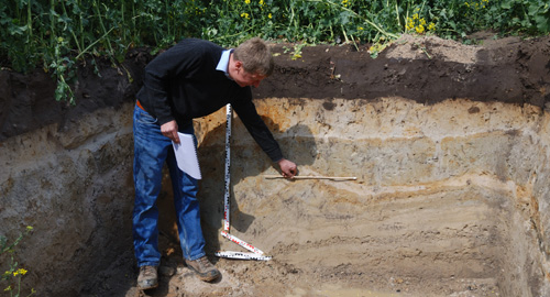 Bodenkundler steht in einem aufgegrabenen Stauwasserboden aus Geschiebedecksand über Grundmoräne bei Petershagen im Nordosten von Nordrhein-Westfalen