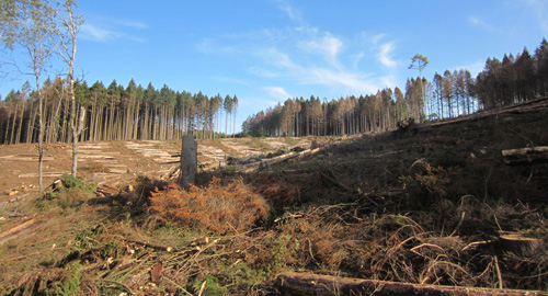 Foto zu Boden und Klimawandel