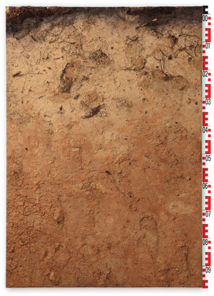 Lackprofil GD041