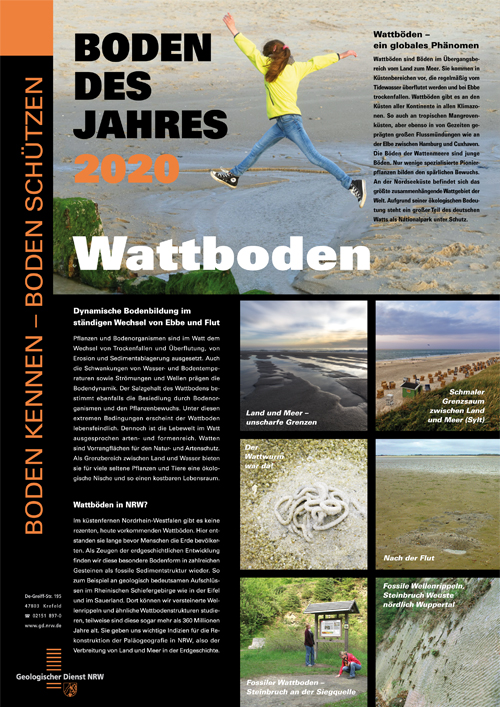 Poster zum Boden des Jahres 2020: Wattboden