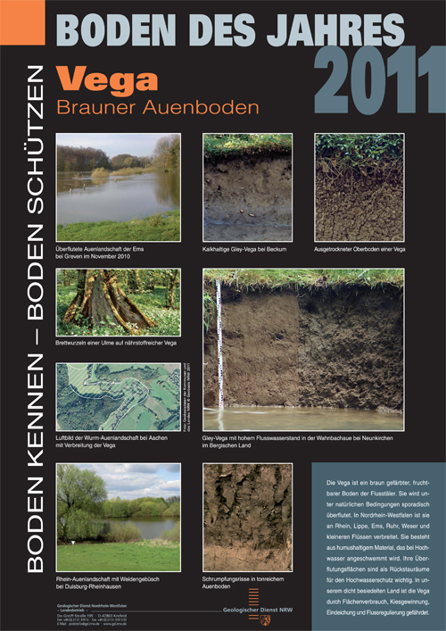 Poster zum Boden des Jahres 2011