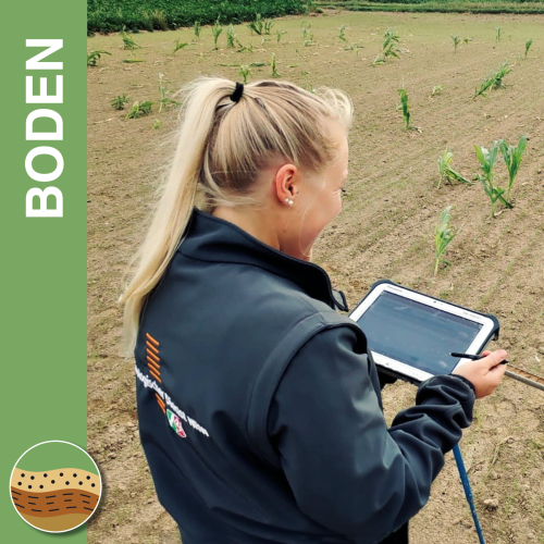 Boden