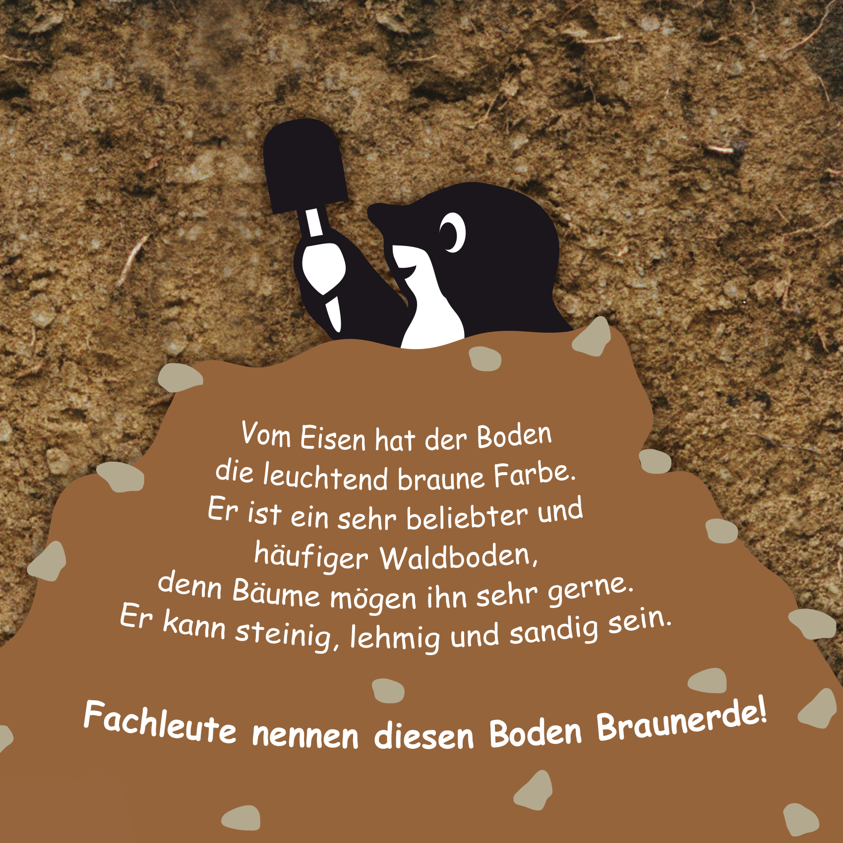 Veranstaltungen > Waldbodenkolloquium im GD NRW