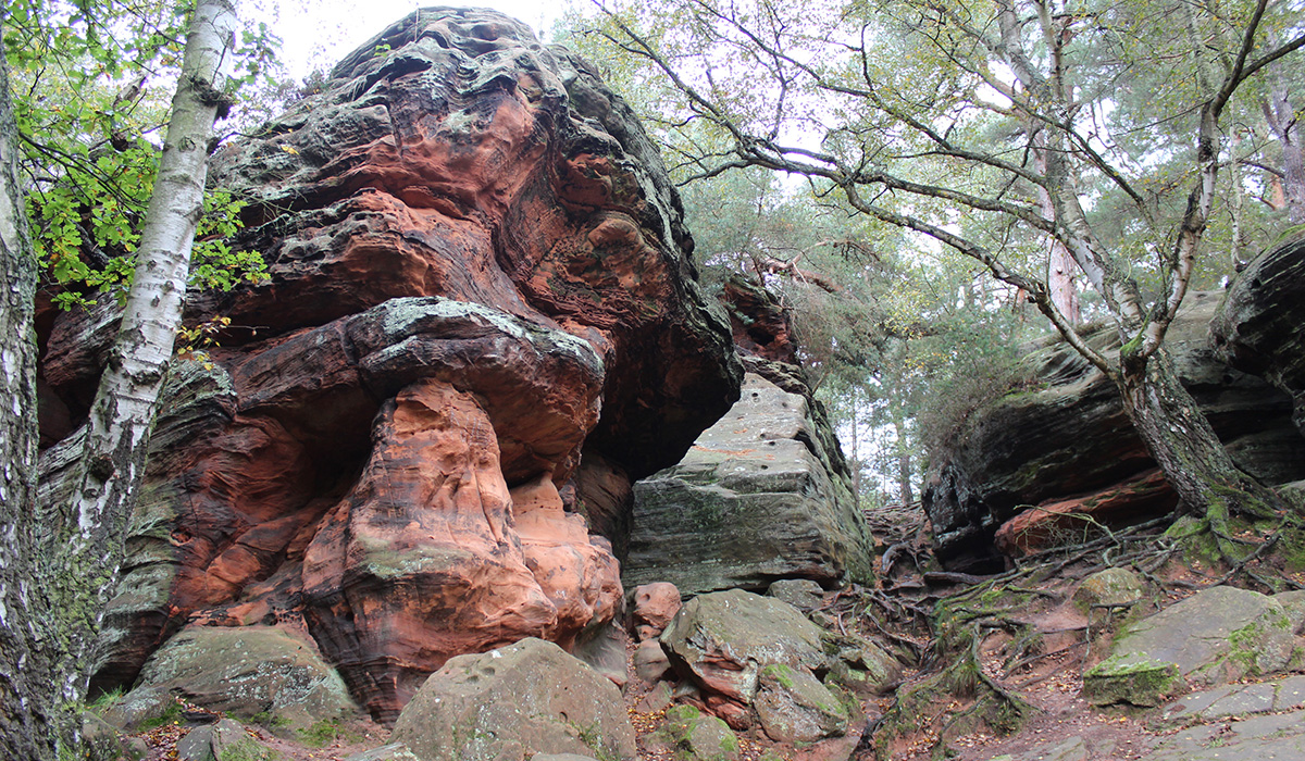 Der Katzenley – buntsandsteinzeitliche Felsen bei Mechernich
