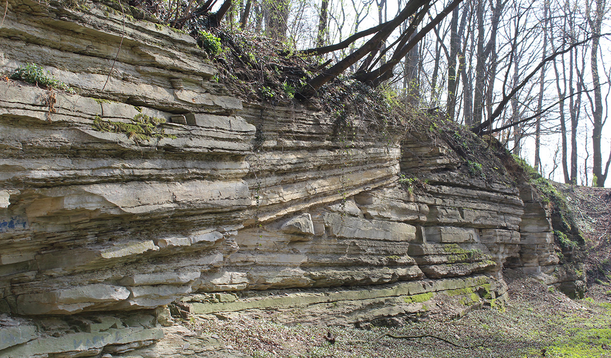 Alter Kalksteinbruch bei Soest – vor 100 Millionen Jahren überflutete hier das Meer der Kreide-Zeit das Festland des Rheinischen Schiefergebirges.