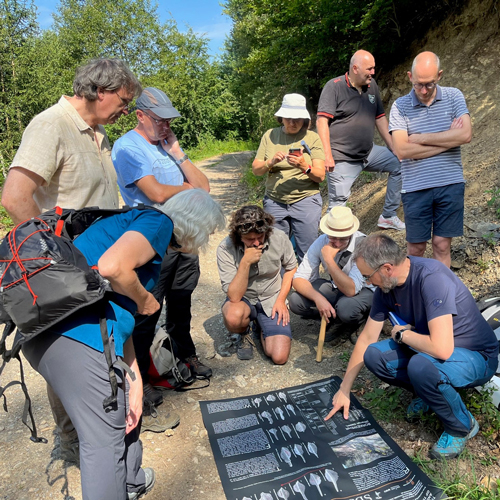 Externer Link: The Devonian-Carboniferous transition at Borkewehr near Wocklum (northern Rhenish Massif, Germany) – a potential GSSP section