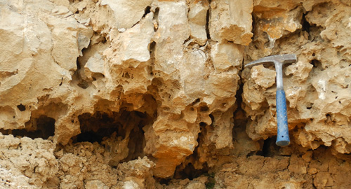 verkarsteter und dolomitisierter Kalkstein der Kohlenkalk-Gruppe bei Hastenrath 