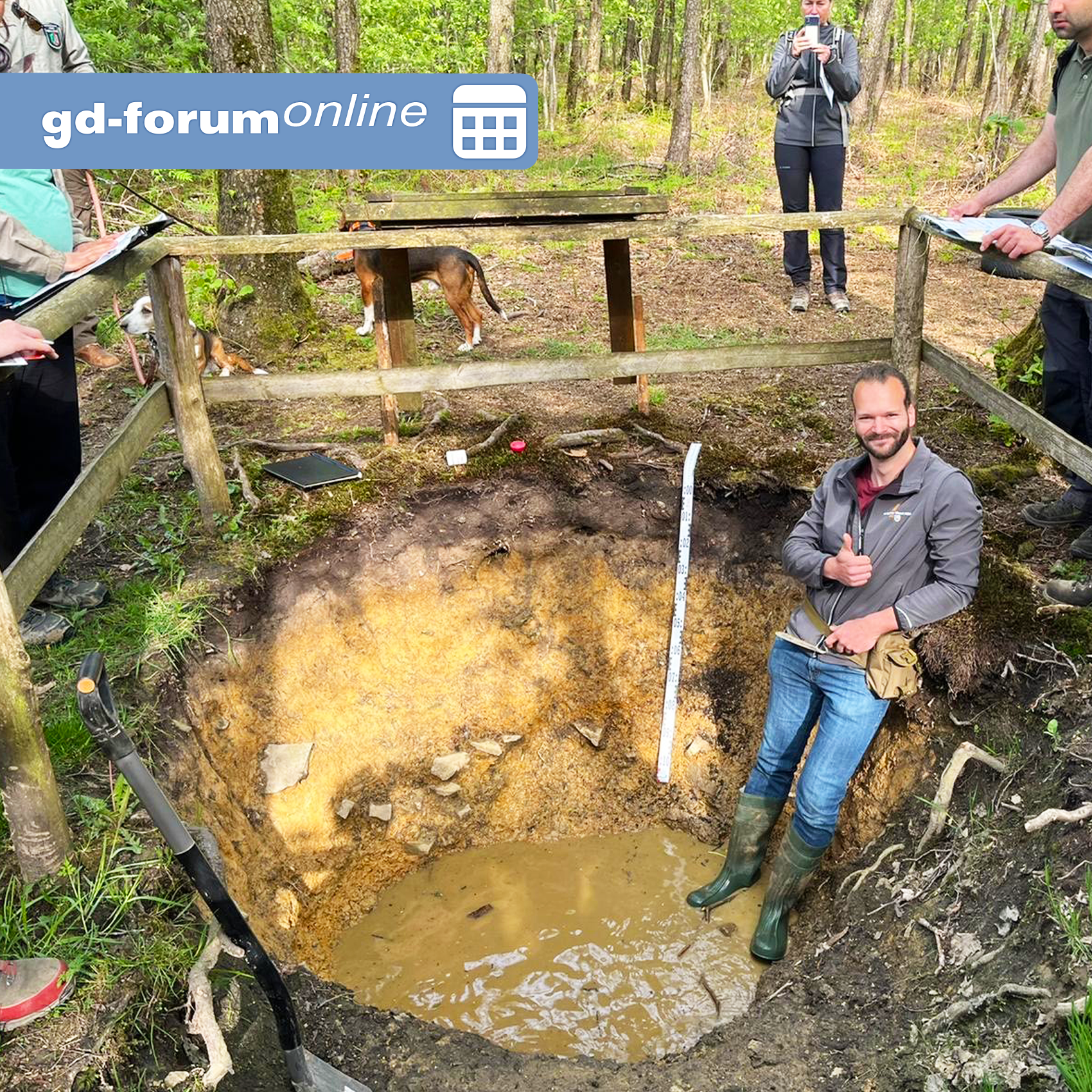 Veranstaltungen > gd-forum online: Böden im Wald