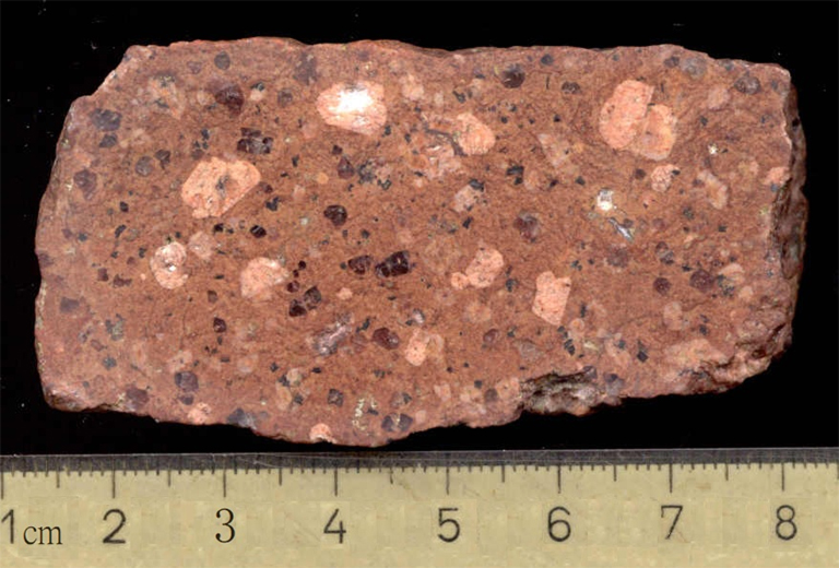 Angeschliffenes Handstück eines Rhyoliths („Quarzporphyr“) aus Löbejün bei Halle, Sachsen-Anhalt, Alter: Perm (Rotliegend), ca. 260 – 300 Mio. Jahre.