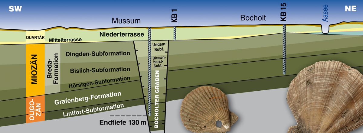 Geologischer Schnitt Bohrung Bocholt-Mussum