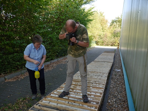 Bild zeigt die Fotodokumentation der Bohrung Raesfeld