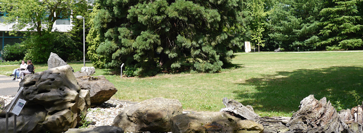 Gesteinsgarten und Arboretum des GD NRW