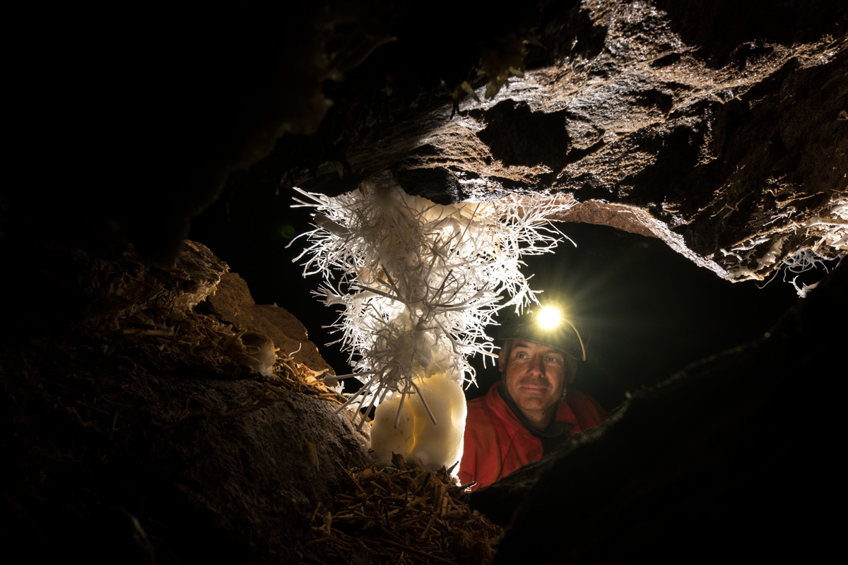 Foto: Baum des Glücks, eine aragonitische Kristallform im Höhlensystem Windloch bei Engelskirchen (Gero Steffens, Deutsches Bergbau-Museum Bochum; Copyright: Arbeitskreis Kluterthöhle e.V.)