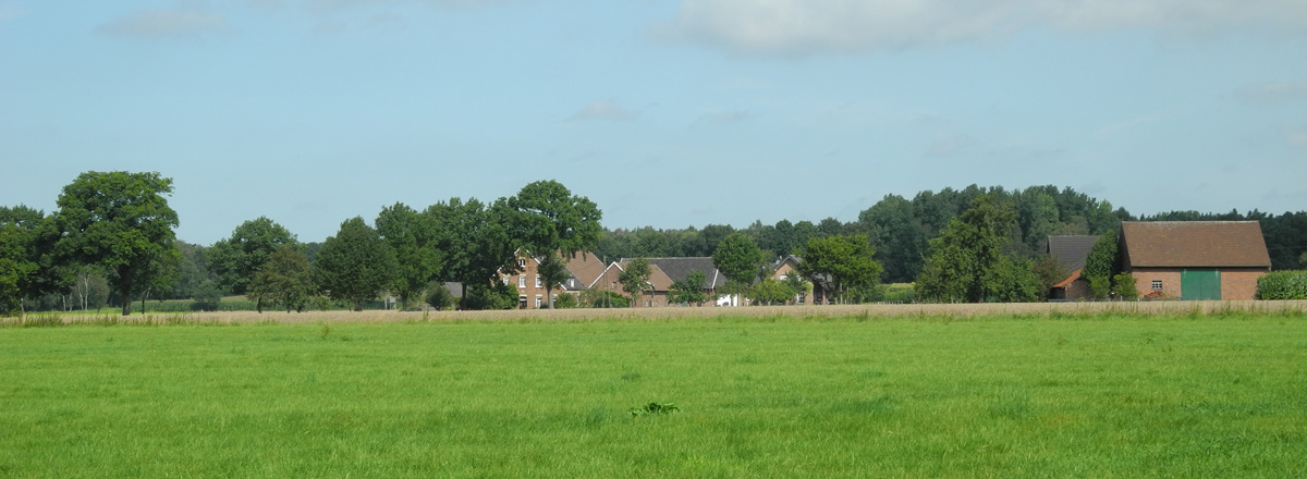 Foto: Münsterland