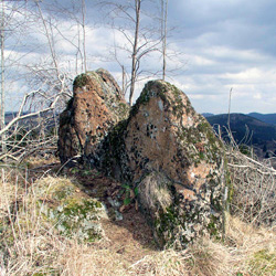 Diabas auf dem Gudenhagener Poppenberg bei Brilon