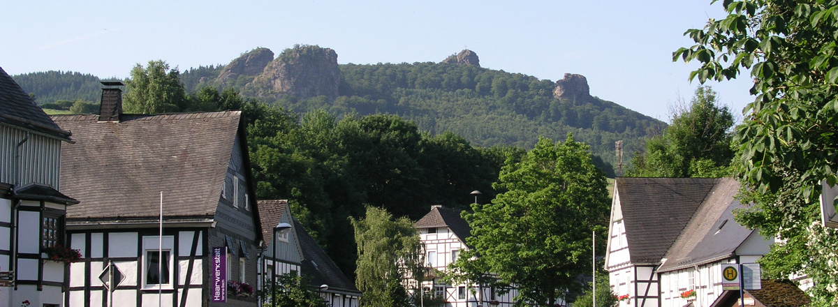 Blick auf die Bruchhauser Steine 