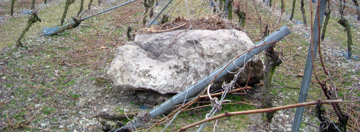 Felssturz im Siebengebirge