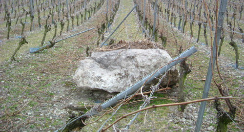 Felssturz im Siebengebirge