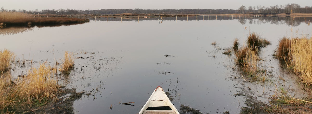 Blick auf den Lachmöwensee im Zwillbrocker Venn