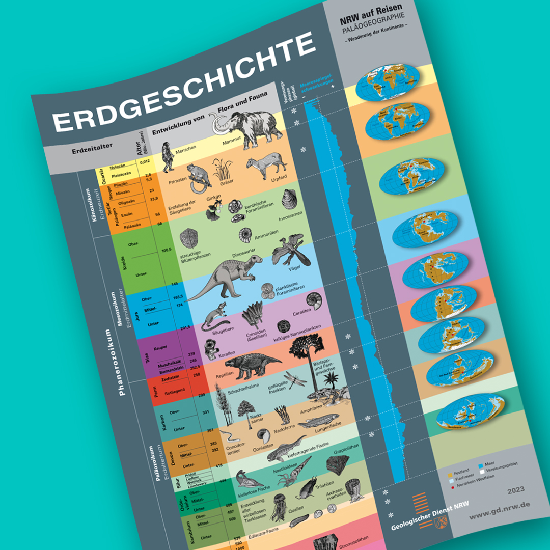 Broschüren, Flyer & Poster