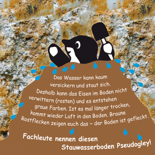 Veranstaltungen > Waldbodenkolloquium im GD NRW