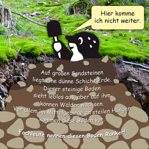 Veranstaltungen > Waldbodenkolloquium im GD NRW