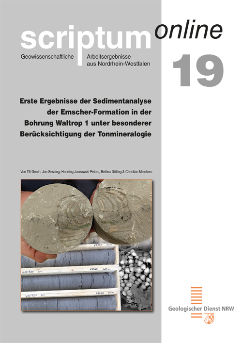 Titelseite von scriptumonline Heft 19