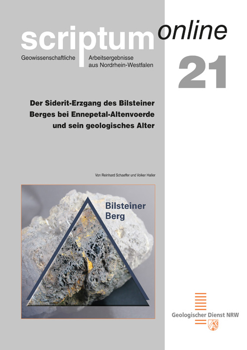 Titelseite von scriptumonline Heft 21