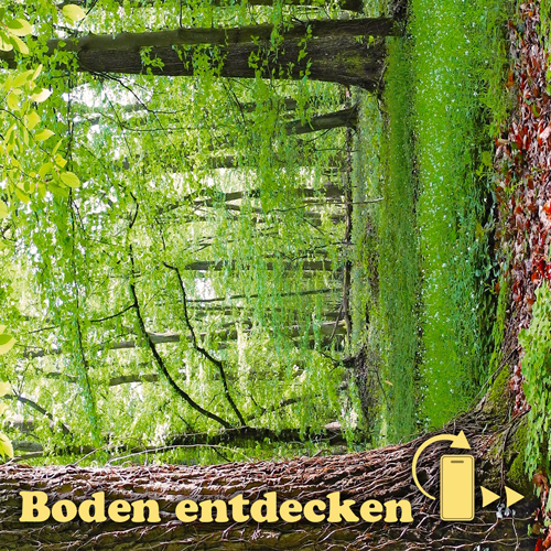 Forstliche Standortkarte für den Wald der Zukunft