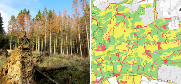 Foto zeigt Waldschäden und einen Ausschnitt der Baumarteneignungskarte, abgeleitet von der Forstlichen Standortkarte.