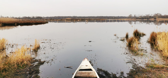 Lachmöwensee im Zwillbrocker Venn, Foto: C. Sinn, GD NRW