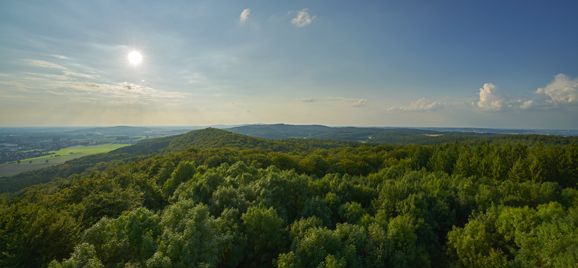 Foto: Wachsmann/Osnabrück