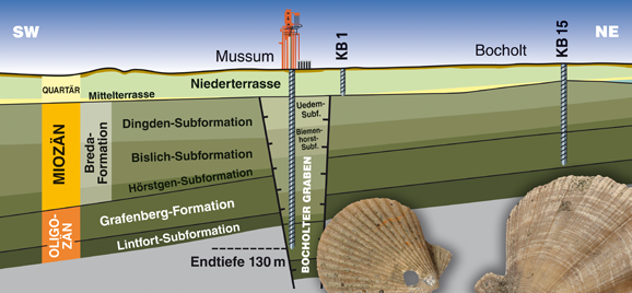 Geologischer Schnitt im Bereich der Bohrung Bocholt-Mussum